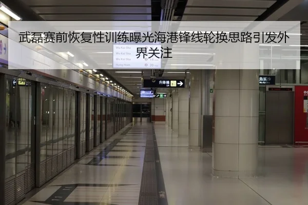 武磊赛前恢复性训练曝光海港锋线轮换思路引发外界关注