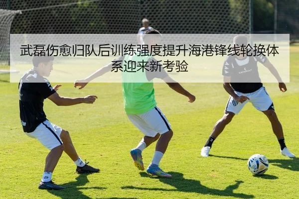 武磊伤愈归队后训练强度提升海港锋线轮换体系迎来新考验